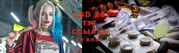 трава Карпинск