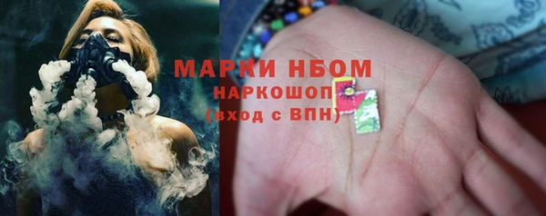 трава Карпинск