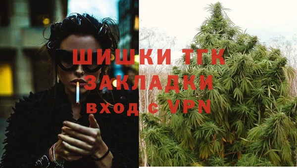 соль ск Касимов