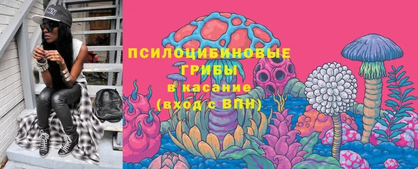 соль ск Касимов
