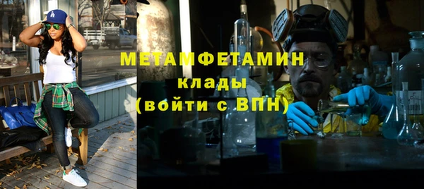 трава Карпинск