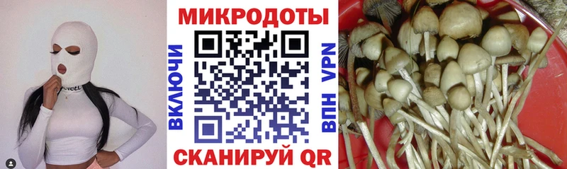 Псилоцибиновые грибы ЛСД  Купить закладки  Миньяр 